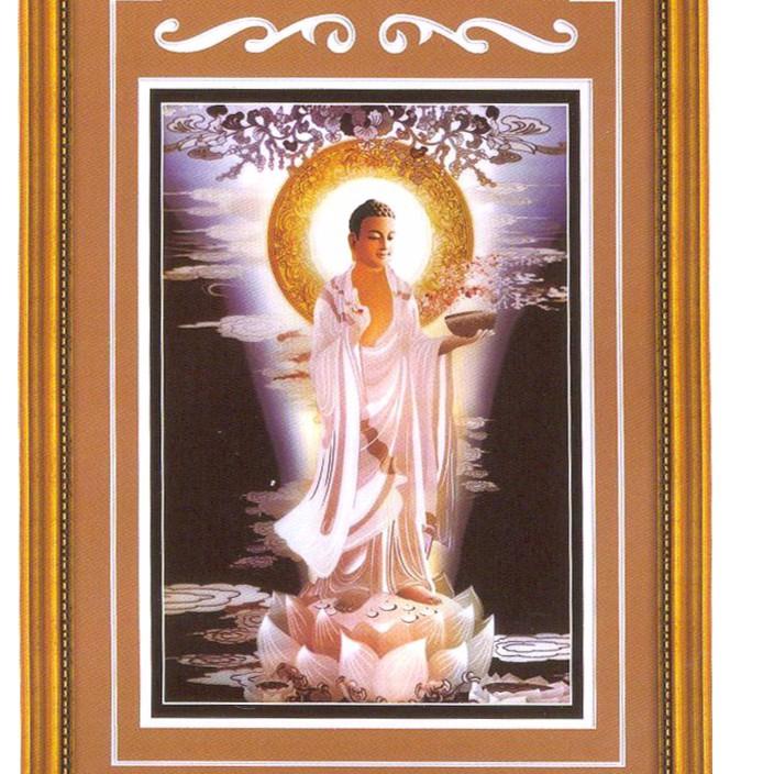 [HCM]Tranh thêu chữ thập 3D phật được sư A1194