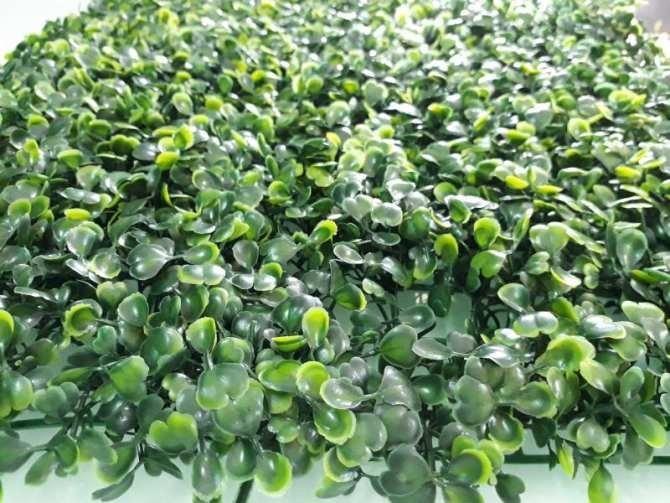 Combo 6 tấm cỏ xoong treo tường cao cấp ( 1 tấm kt 40x60 cm) Hàng dày cỏ đẹp