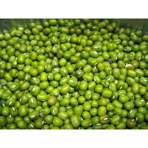 Hạt giống rau mầm giá đậu xanh - gói lớn 50-100gr