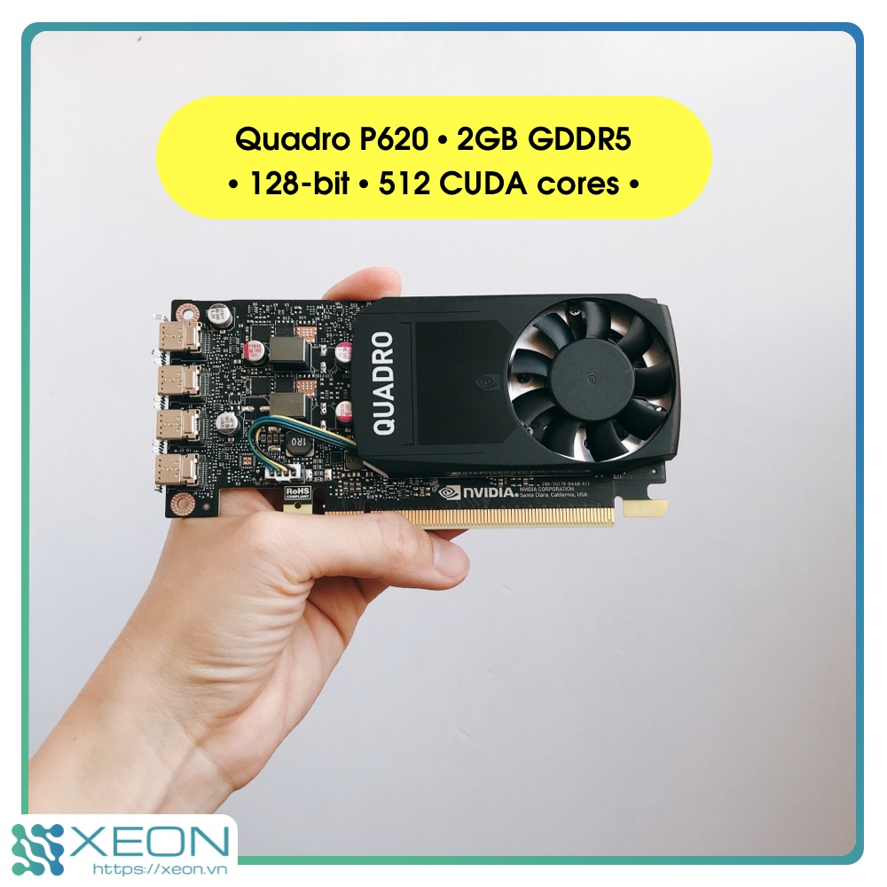 Card đồ họa vga nvidia quadro p620 / 2gb gddr5 / 128-bit cuda cores 512