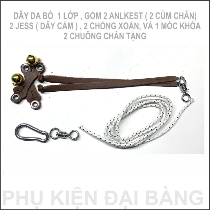 Bộ dây da loại  chim ưng