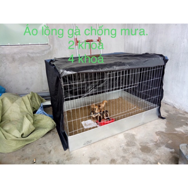 MÀN VUÔNG 80x1,2mx80  CHỐNG MUỖI CHO GÀ