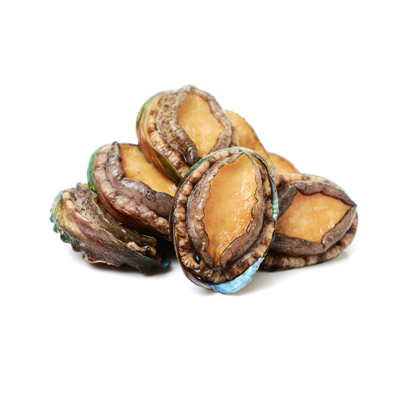 Bào Ngư Nhập Khẩu 200G