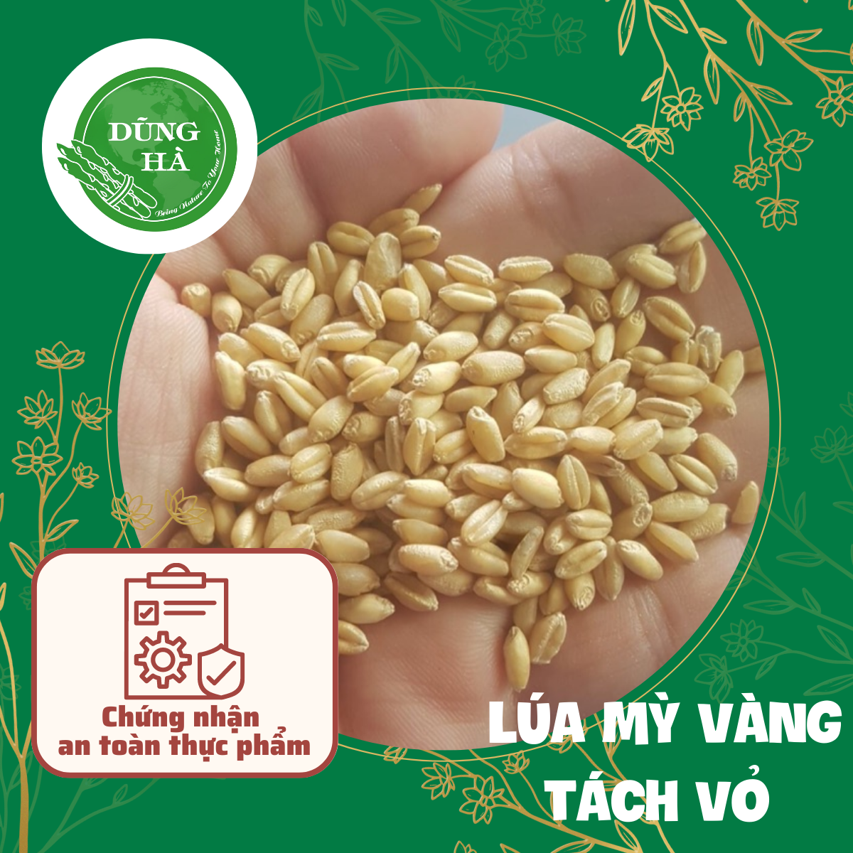 Lúa mỳ vàng tách vỏ chất lượng