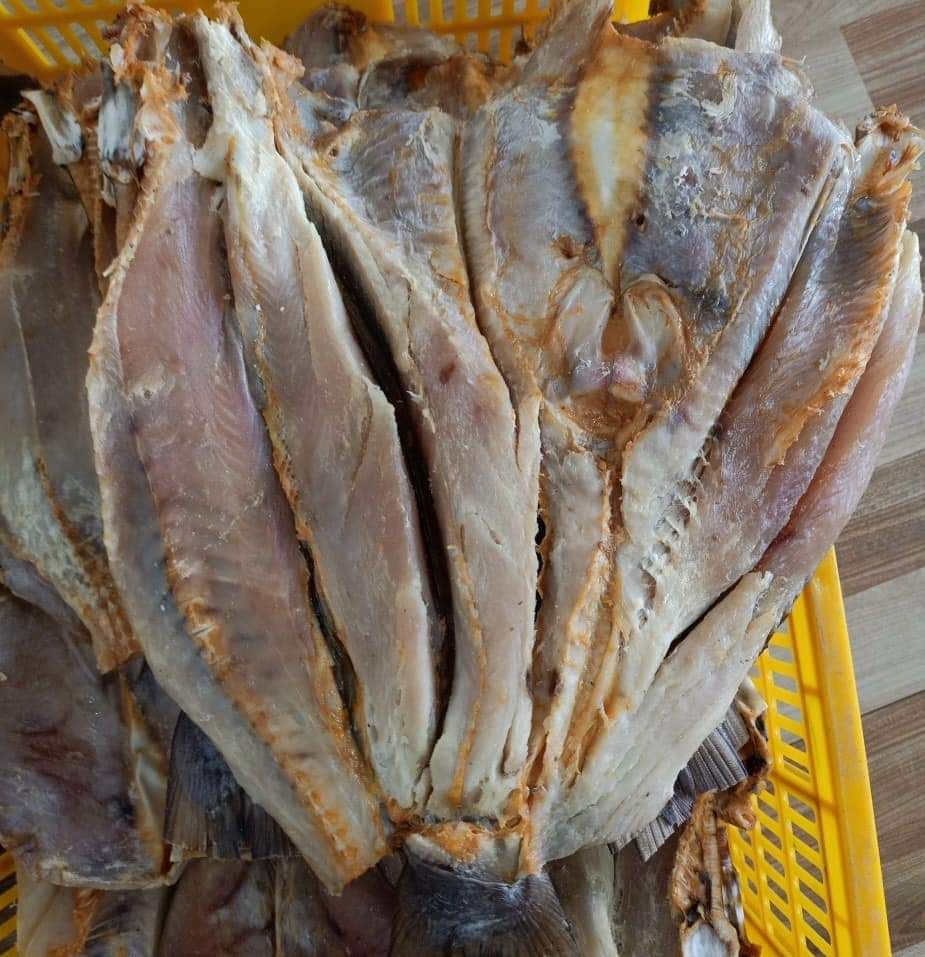 Khô cá rún mặn siêu thịt thơm ngon loại 1 làm cơm chiên cá mặn siêu ngon