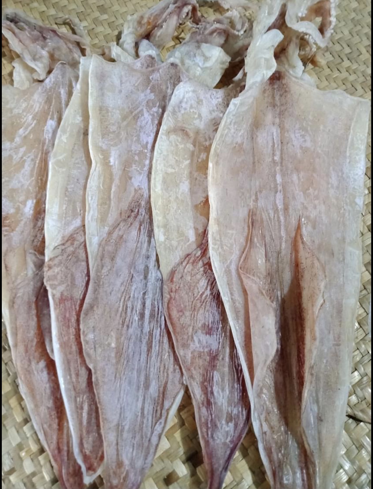 0,5 kg khô mực câu phú quốc từ 10 đến 11 con 1 kg