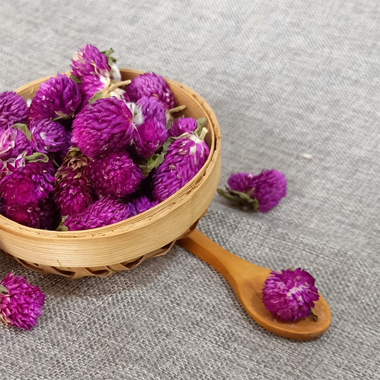 Trà hoa cúc bách nhật 100g giảm ho đàm đầy hơi
