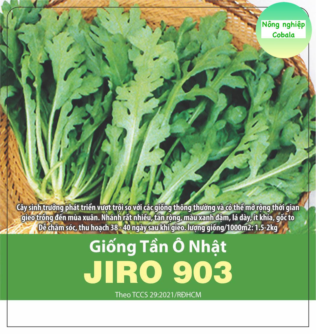 Hạt Giống Tần Ô Nhật 10gr