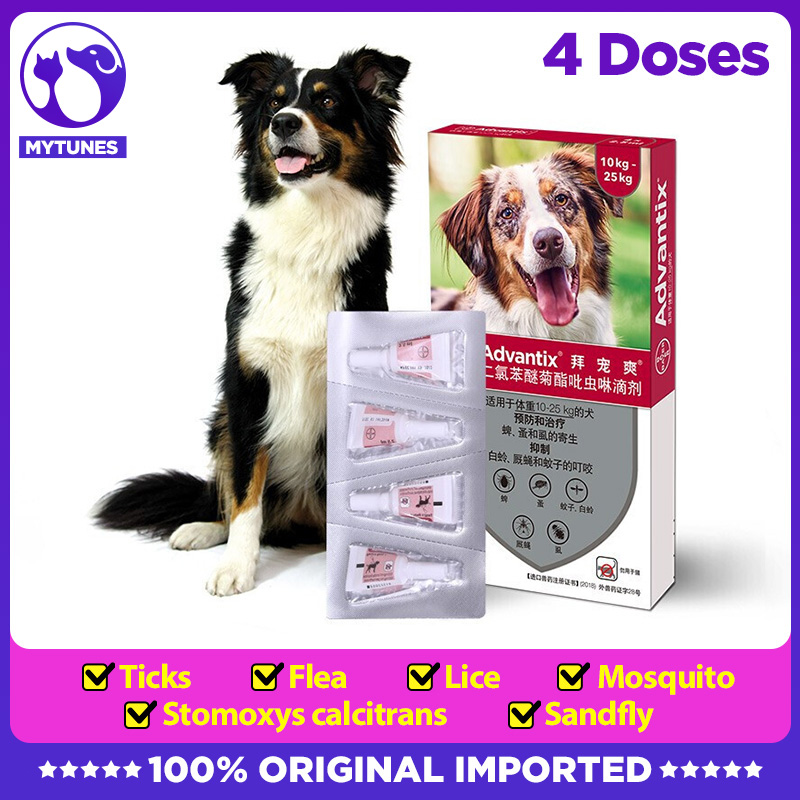 Bayer advantix spot on cho chó 10-25kg xua đuổi bọ chét ve muỗi chấy 4 ống