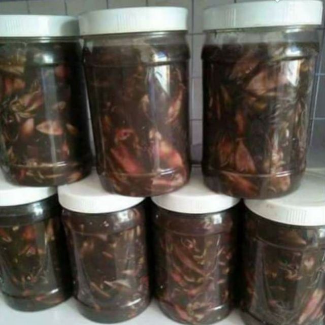 COMBO MẮM MỰC & MẮM CÁI CÁ CƠM Phú Yên (500gram)