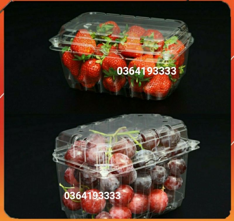 Hộp nhựa đựng hoa quả bấm nút set 50 hộp đựng dâu tây p1000b p500c