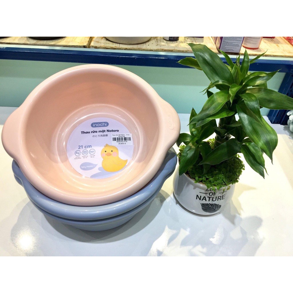 Chậu rửa mặt cho bé Notoro 21cm xuất Nhật Bản tây cầm chống trơn trượt nhựa PP nguyên sinh, kháng khuẩn