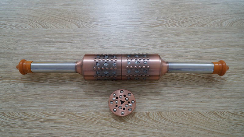 Cây lăn đồng diện chẩn