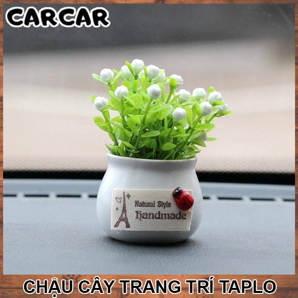 Chậu cây mini trang trí taplo ô tô