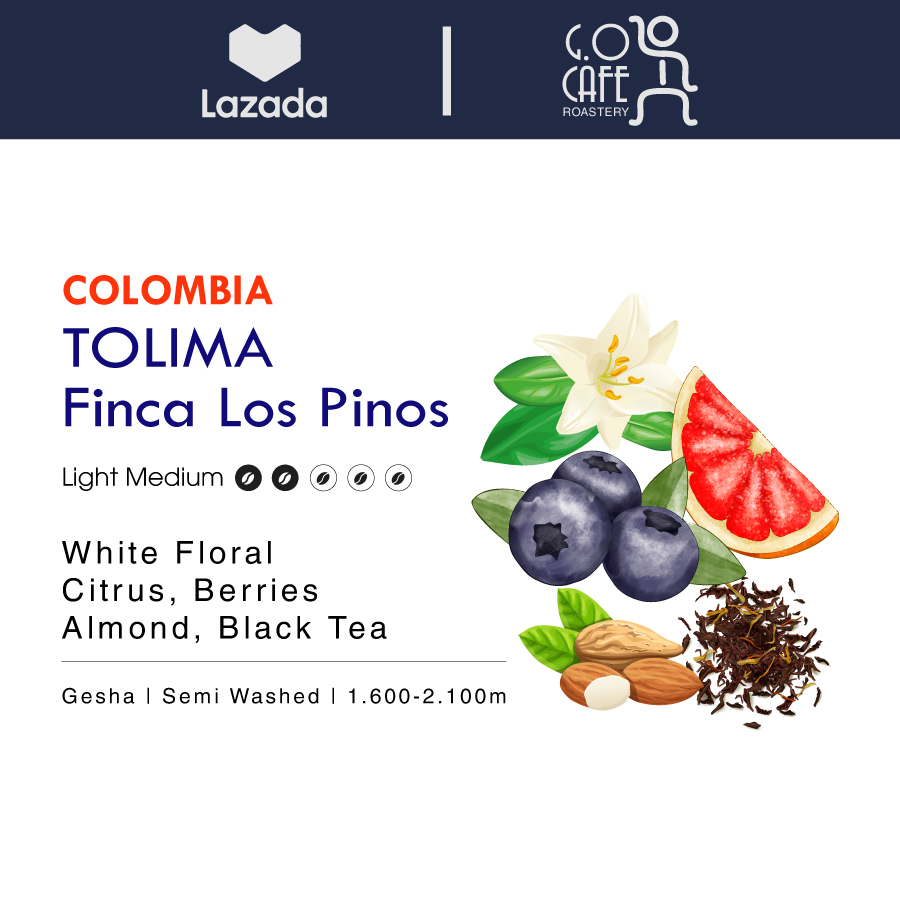 Cà phê đặc sản Colombia Tolima Finca Los Pinos Gesha Semi Washed - G.O Cafe Roastery
