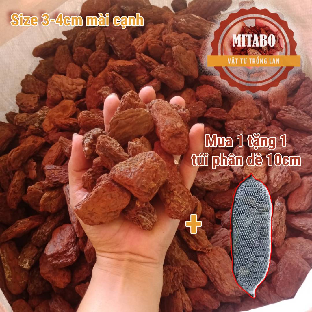 [Giảm 50% + quà tặng] Combox 5kg vỏ thông trồng lan loại xay mài cạnh đẹp vỏ thông Mitabo kích thước 3-4cm - Giá thể trồng lan đã qua xử lí tặng kèm túi phân dê