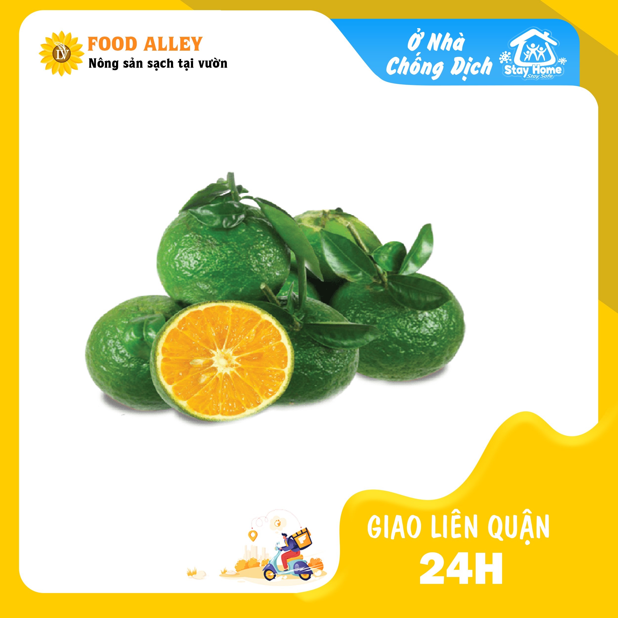 [CHỈ GIAO HÀ NỘI] CAM SÀNH