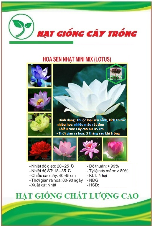 Hạt giống hoa sen mini nhật nhiều màu CT50 - Gói 5 hạt