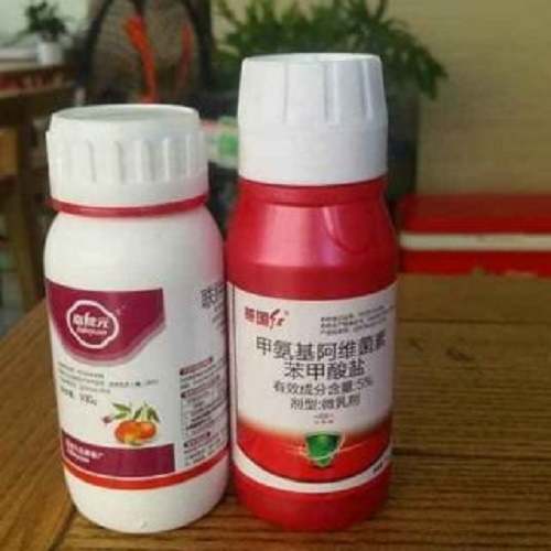 Combo phòng và trị trĩ nhện trung quốc hiệu quả cao