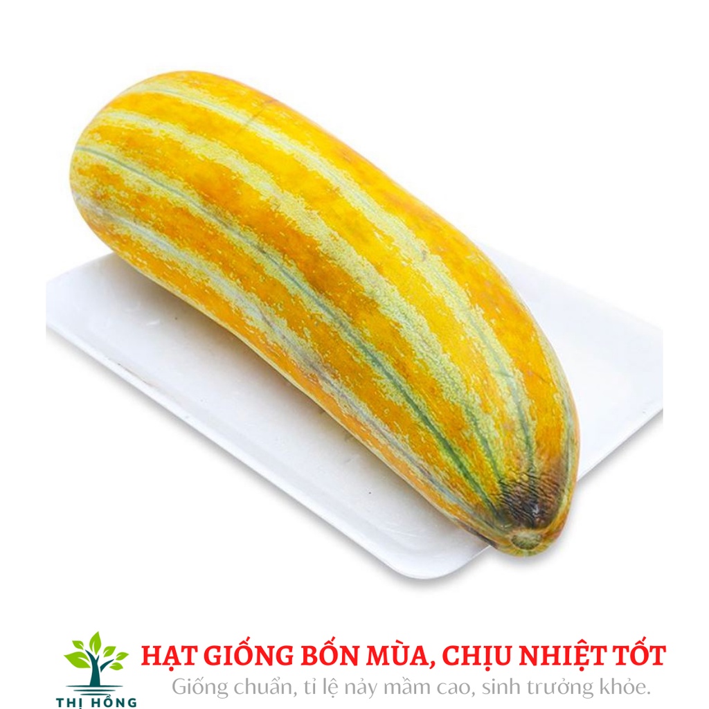 Hạt giống dưa gang cao sản 1g