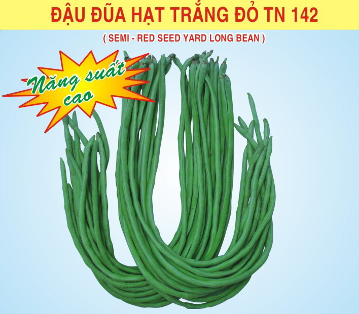 Hạt giống đậu đũa hạt trắng đỏ tn 142 50gram/gói