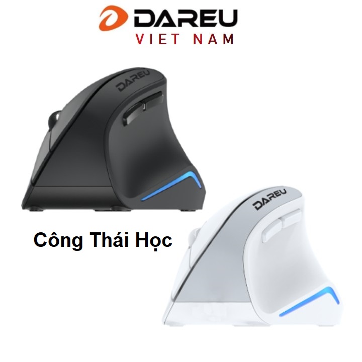 Chuột công thái học Dareu LM108B - Kết nối không dây Dual mode Wireless 2.4gHz / Bluetooth
