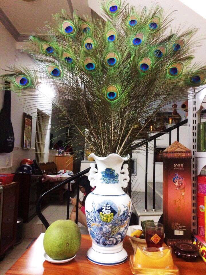 ComBo 10 Lông Công Phong Thủy - Sang Trọng - Tinh Tế - Sử Dụng Lâu Dài Không Cần Thay Đổi - Mang Về Là Cắm