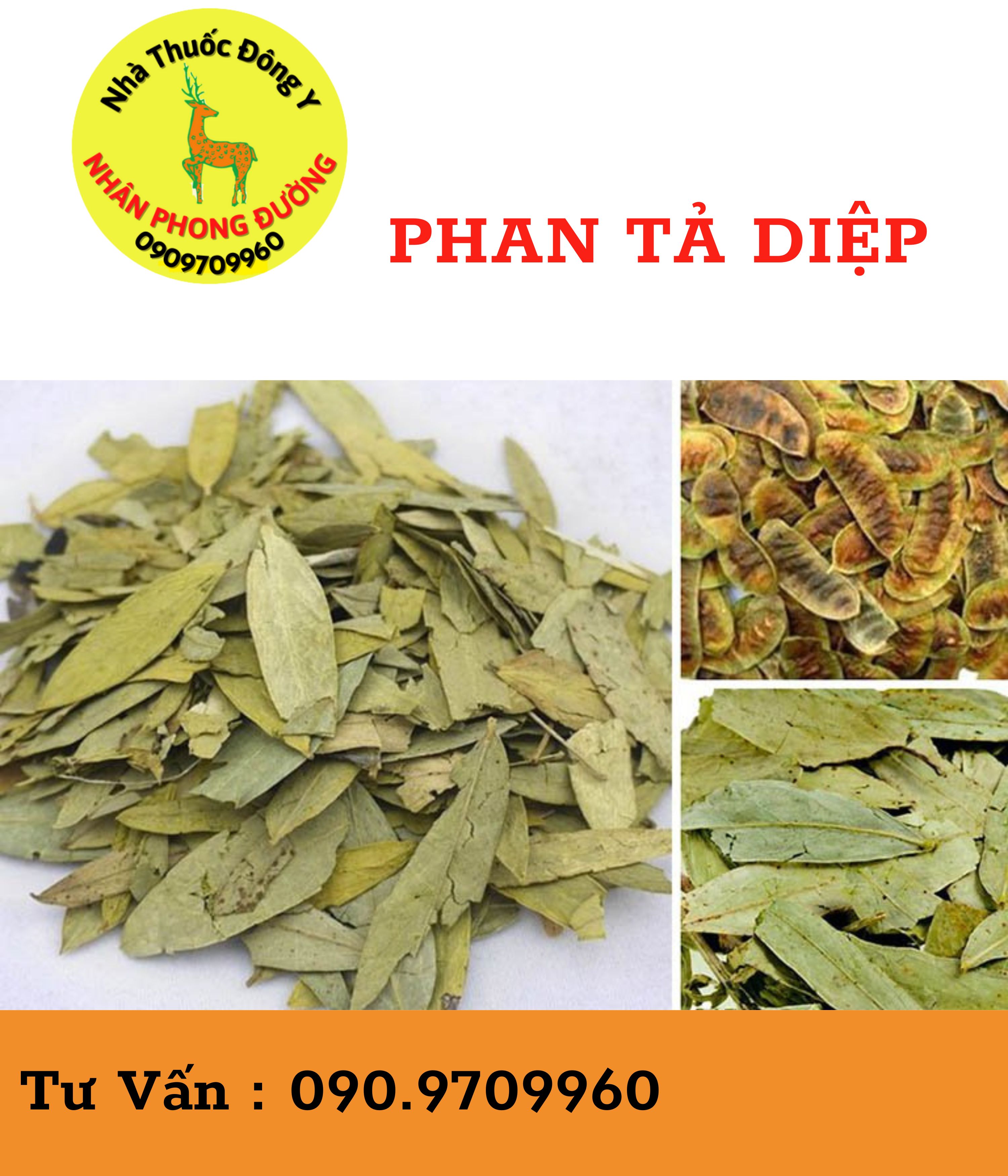 Phan Tả Diệp khô, túi 1kg , hỗ trợ táo bón, nhuận tràng đại tiện khó khăn, giảm cân, giảm béo hiệu quả..