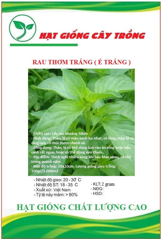 Hạt giống rau húng thơm - Rau thơm sả - Gói 2gram