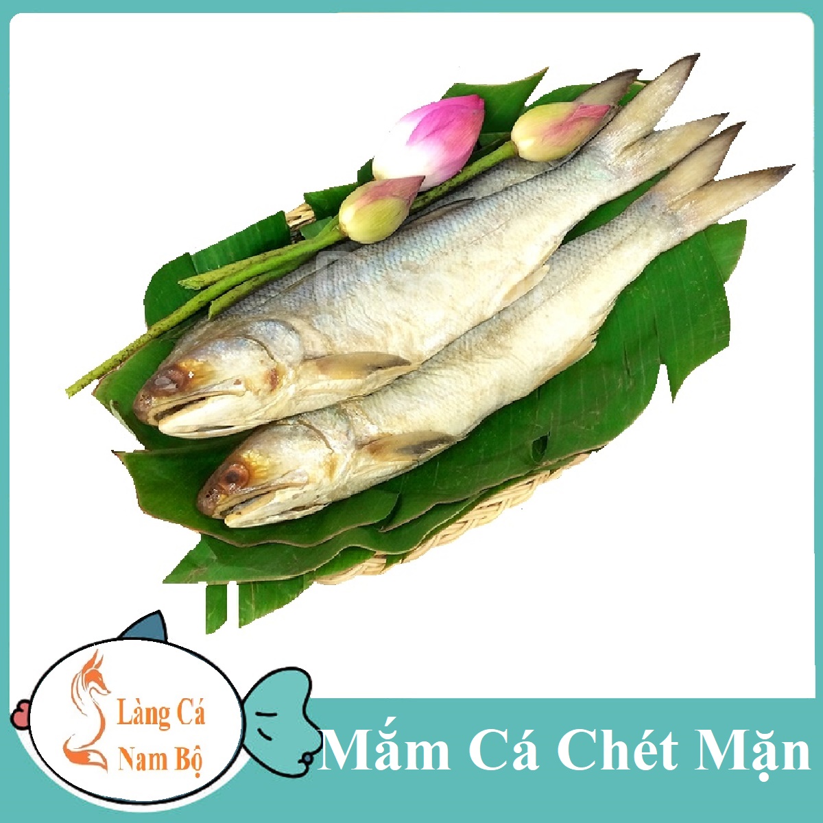 Mắm cá chét -làng cá nam bộ mắm khô cá chét hương ,làm các món chưng ba rọi, trứng ngon tuyệt vời.khô cá chét hương, mắm cá chét hương.