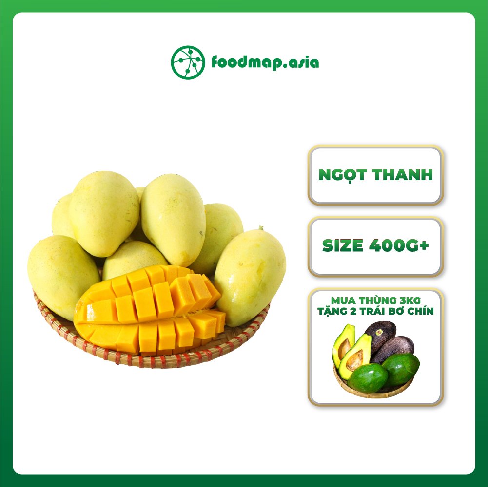 [Thùng 2kg] Xoài Cát Hòa Lộc Cao Lãnh - Foodmap Fruits
