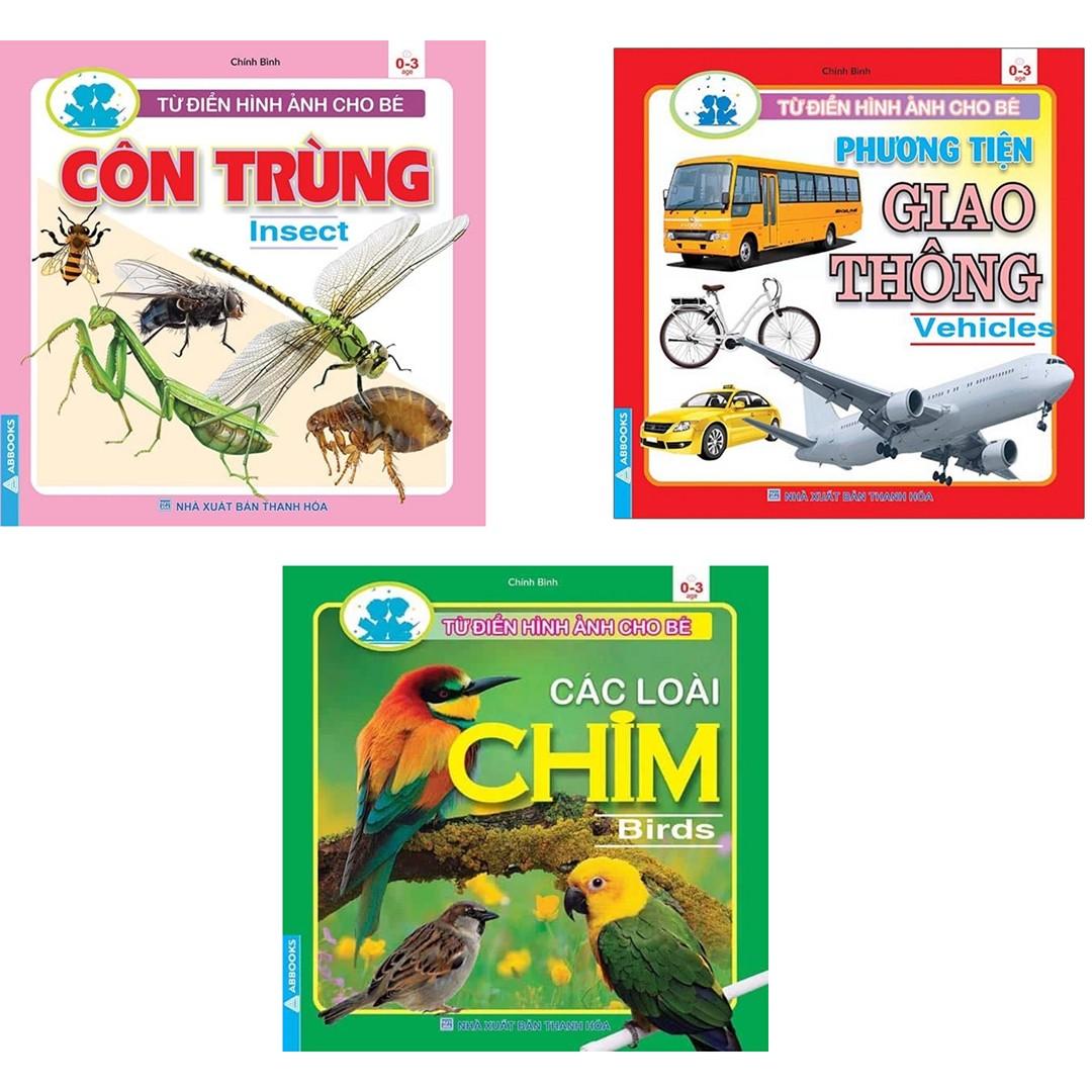 Sách - từ điển hình ảnh cho bé - chủ đề về côn trùng, chim, phương tiện giao thông - bộ 3 cuốn