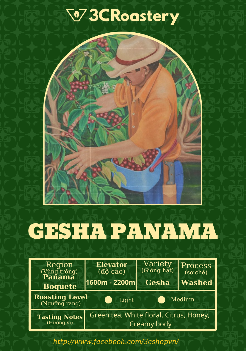 Giống cà phê hiếm nhất thế giới, cà phê nhập khẩu Gesha Panama Finca và Ninety Plus - Pha v60, espresso - 3C Roastery 100g
