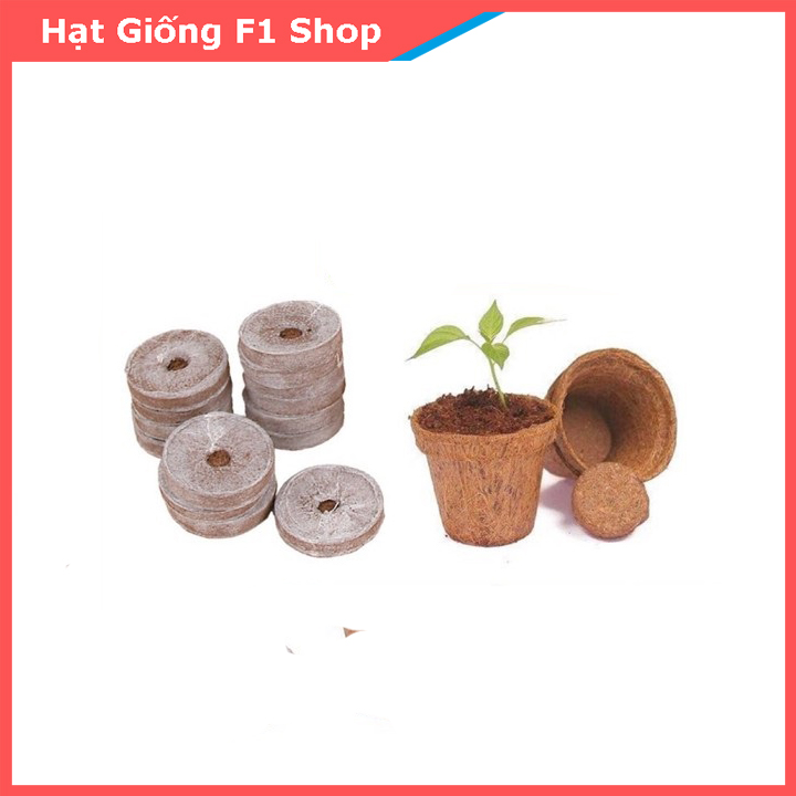 10 viên nén xơ dừa ươm hạt trồng cây