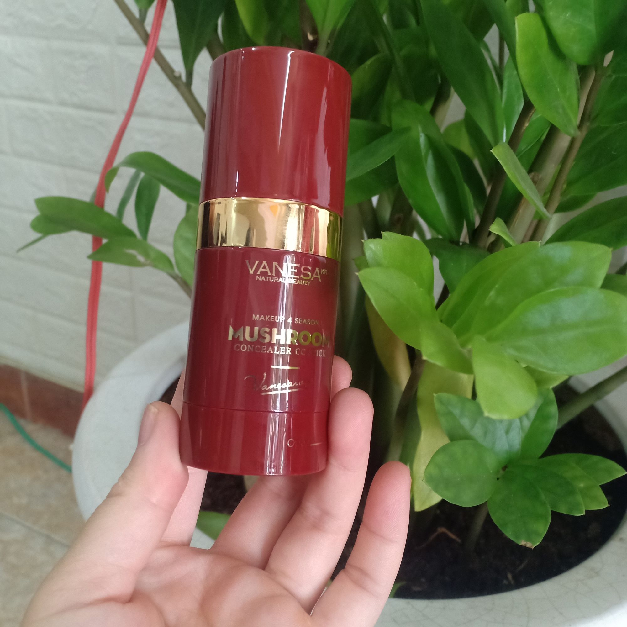 kem nền cc Vanessa