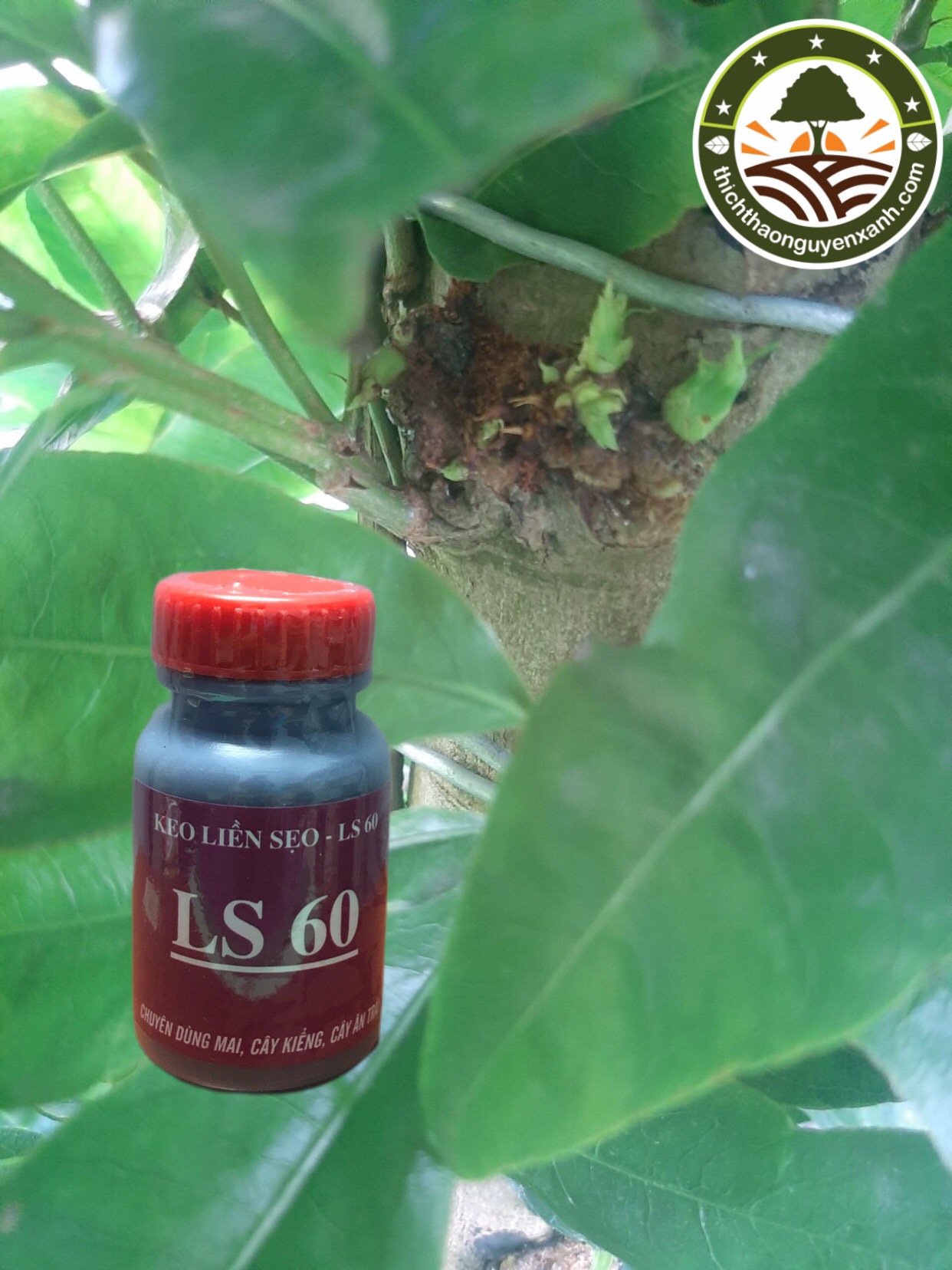 Keo đen liền vỏ cây ls60 - khô nhanh mau liền sẹo