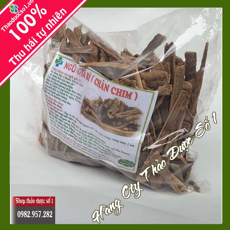 Ngũ gia bì, cây chân chim (lá lằng) hỗ trợ điều trị bệnh Gout cực hay - SP CTY Thảo Dược Số 1