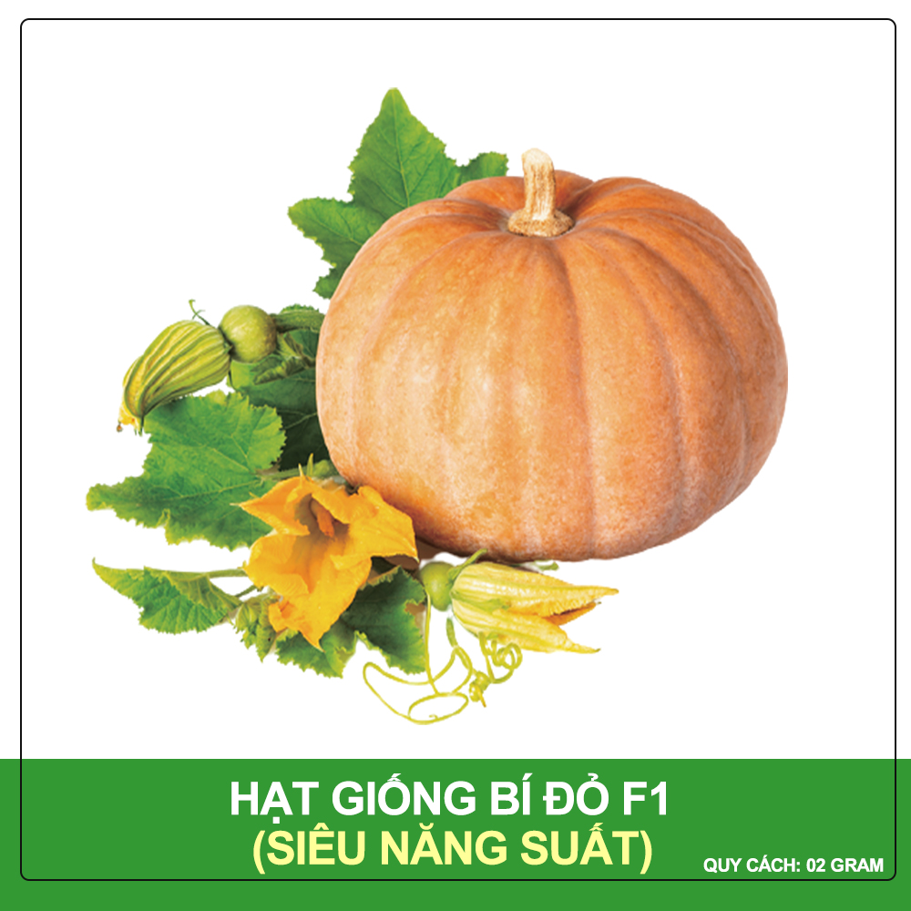Hạt giống bí đỏ phú nông gói 2 gram
