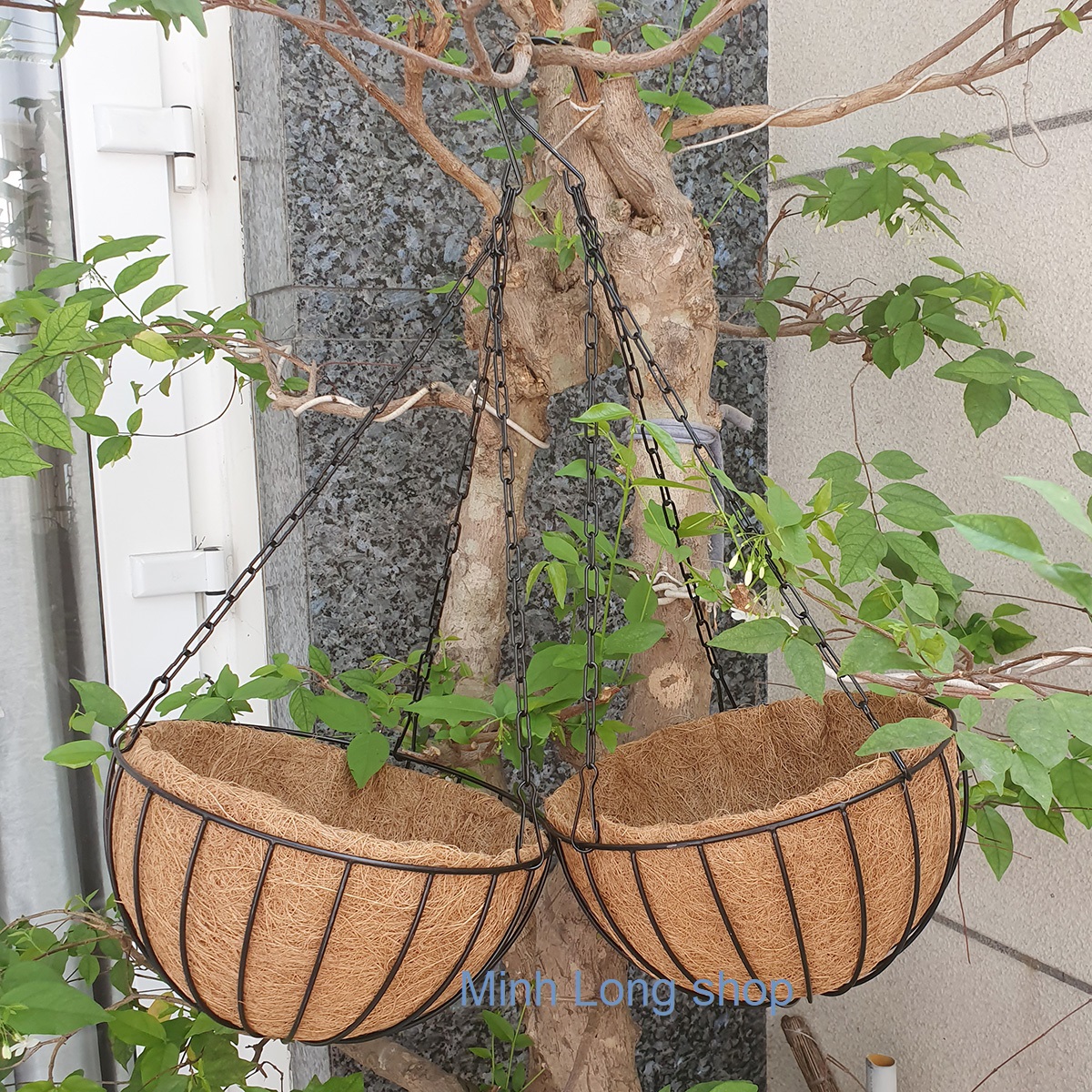 Bộ 02 chậu treo xơ dừa tròn khung sắt sơn tĩnh điện 26x15cm
