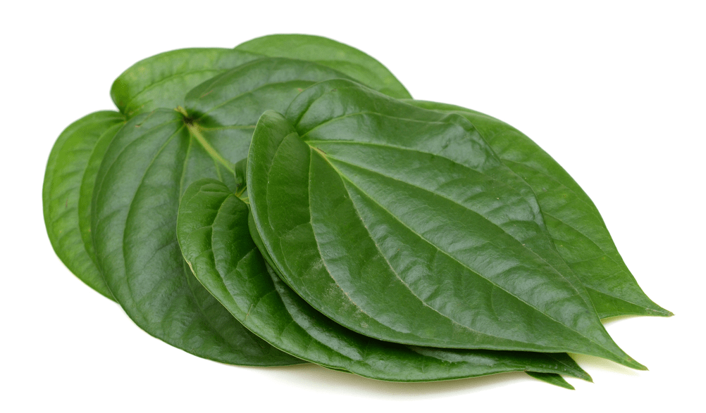 Lá trầu ăn bà điểm 0.5kg