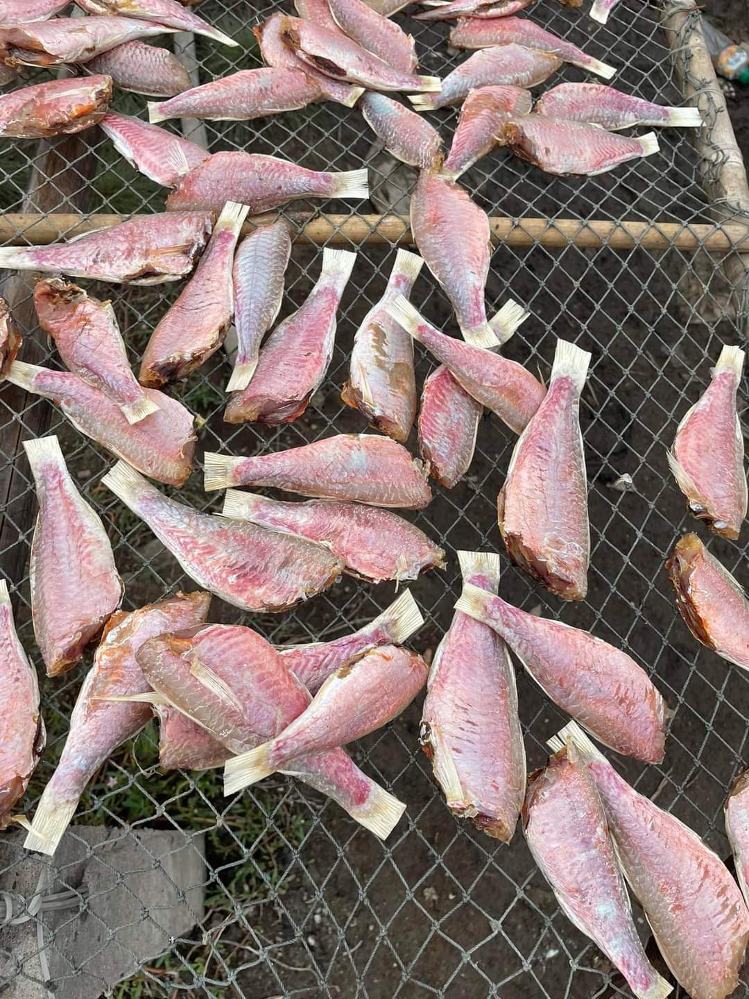 1kg khô cá phèn, hàng 3 nắng thơm ngon, thịt thơm, khô Thoại Sơn