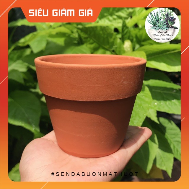 Chậu đất nung nâu 9,5 X 9.5 X 9 ☀️ siêu đẹp ☀️ - sen đá Buôn Ma Thuột lỗi 1 đổi 1