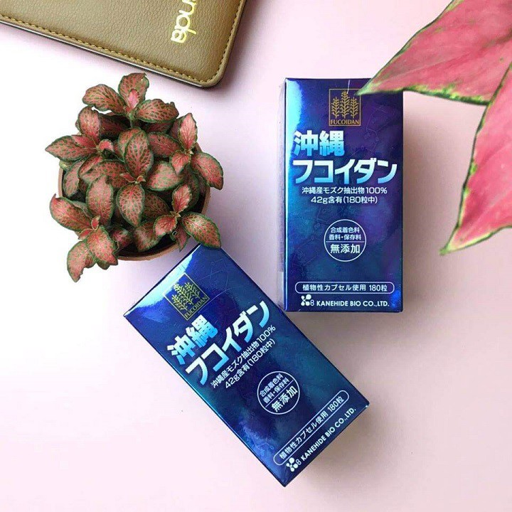 Hộp Tảo Fucoidan Okinawa xanh hỗ trợ ung thư 180 viên Nhật Bản