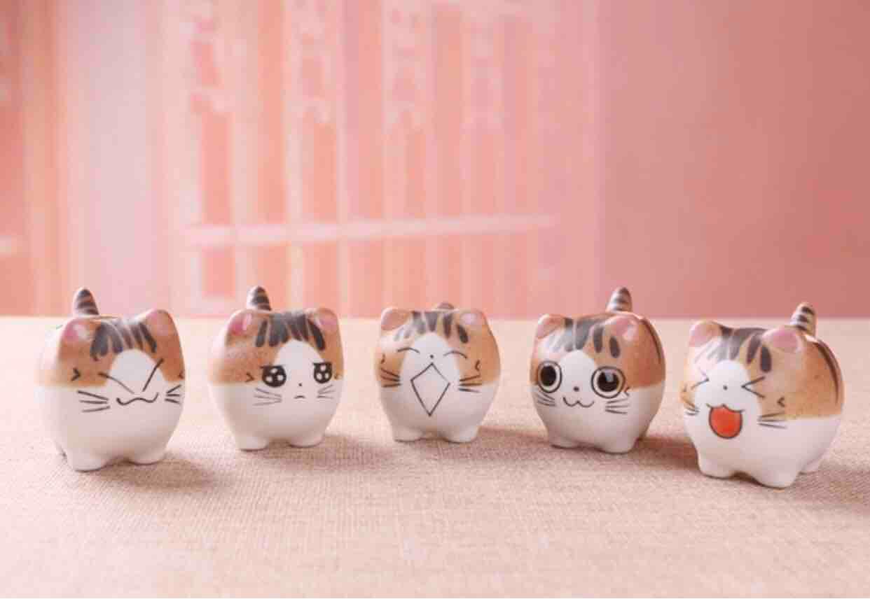 Set 5 chậu mèo trồng cây trang trí