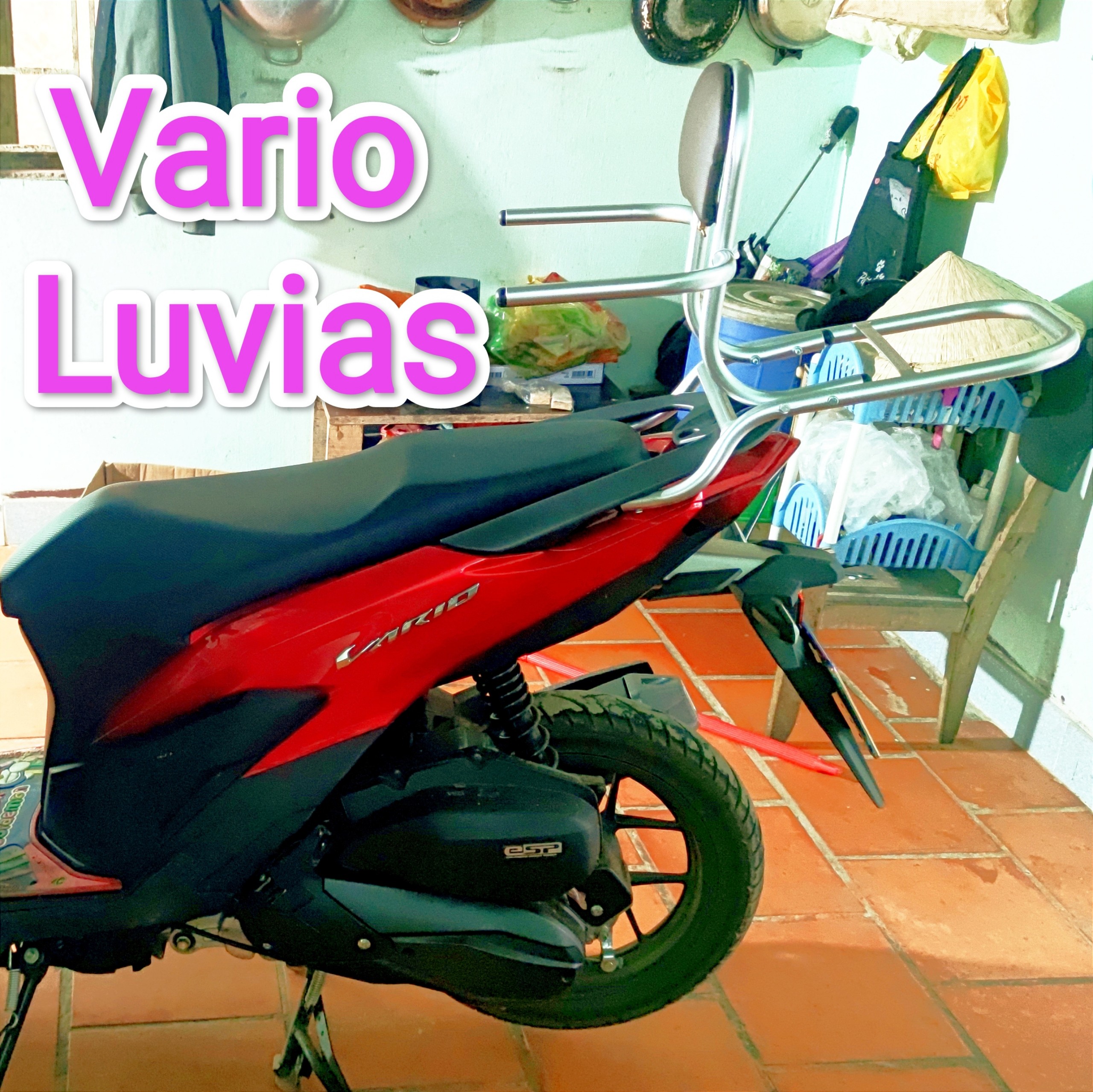Baga phượt có đệm tựa lưng cho xe Vario & Luvias