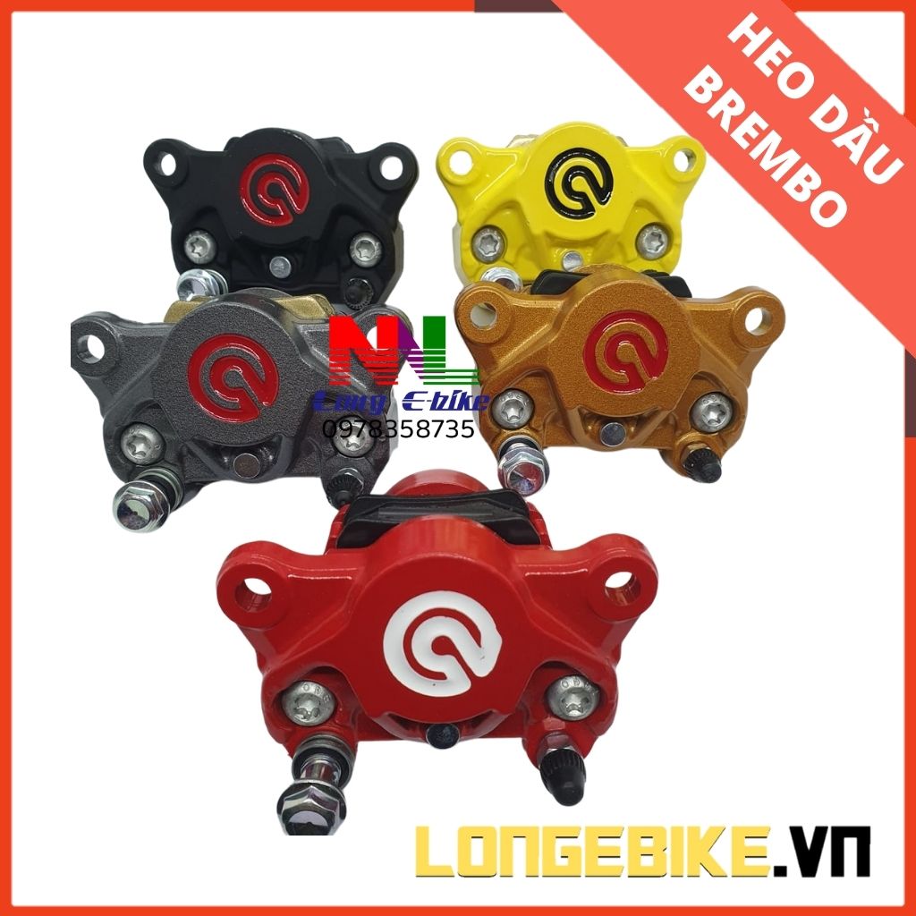 heo dầu trước sau 2 piston đối xứng