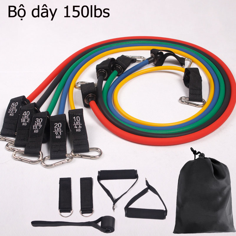 Bộ 5 dây đàn hồi Resistant Band tiêu chuẩn
