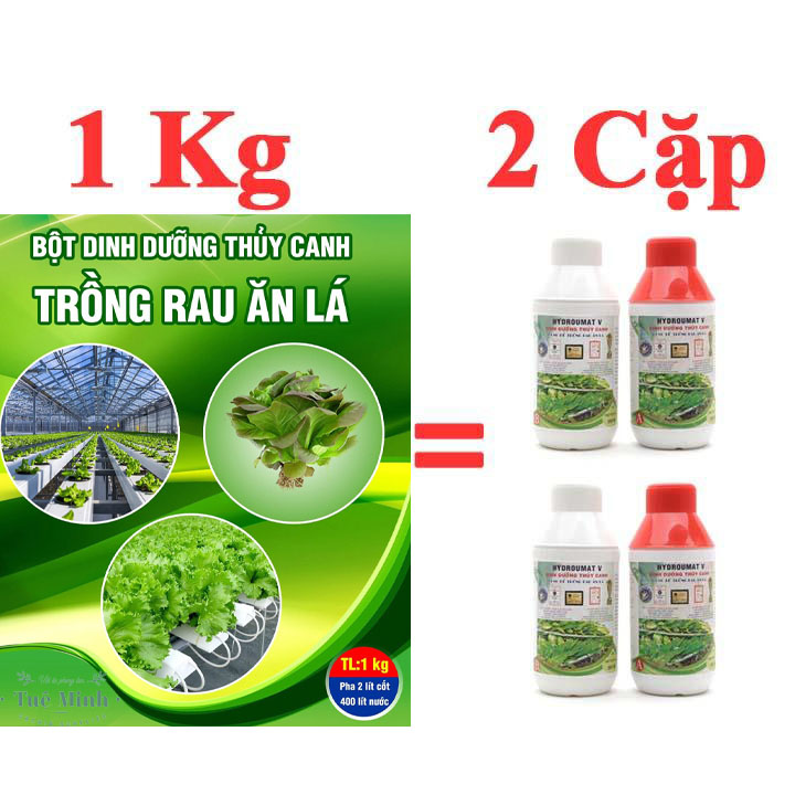 Bột thủy canh hydroland v 1kg cho rau ăn lá
