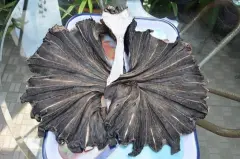 Khô cá đuối đen - Khô cá đuối đen 1 kg