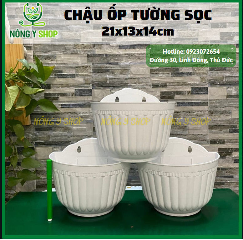 Chậu ốp tường sọc 21-13, chậu ốp tường, chậu sọc, chậu ốp màu trắng, chậu treo tường, chậu treo rào